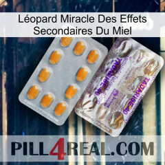 Léopard Miracle Des Effets Secondaires Du Miel new12